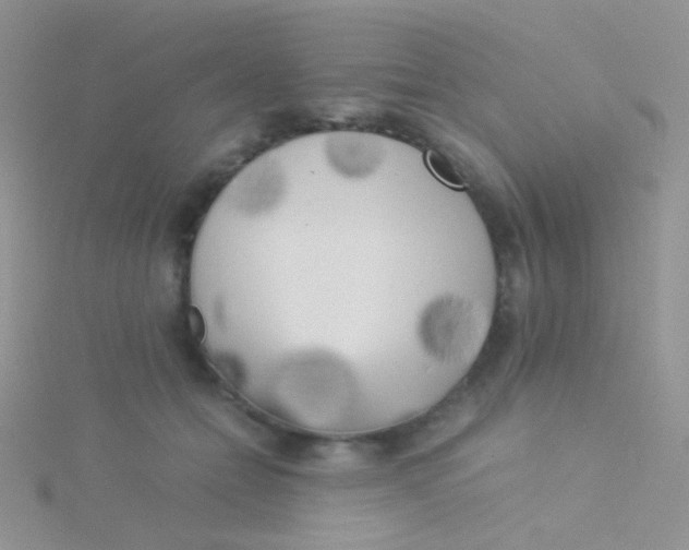 X0000115300558200911231311