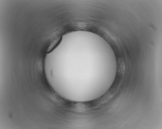 X0000115300562200911231311