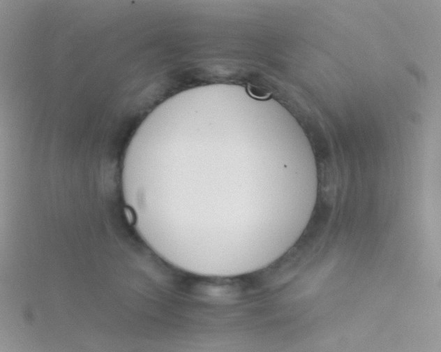 X0000115300563200911231311