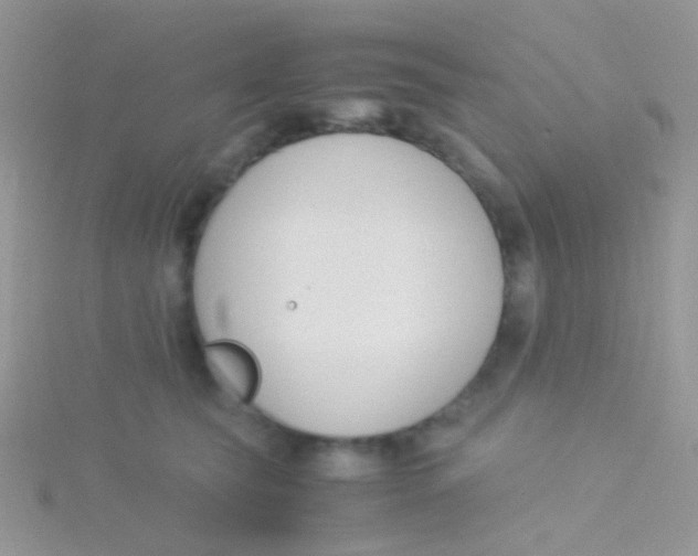 X0000115300565200911231311