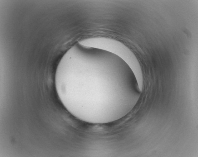 X0000115300566200911231311