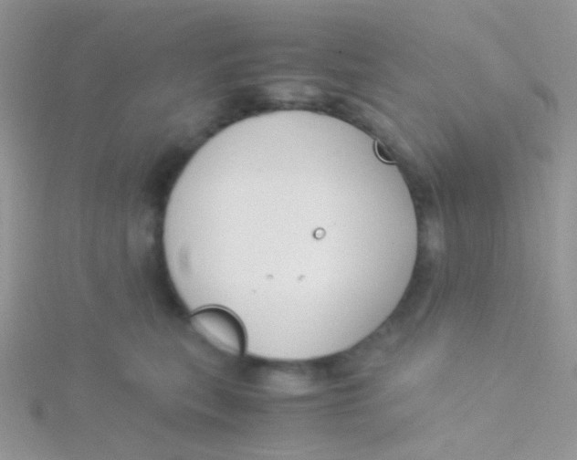 X0000115300567200911231311