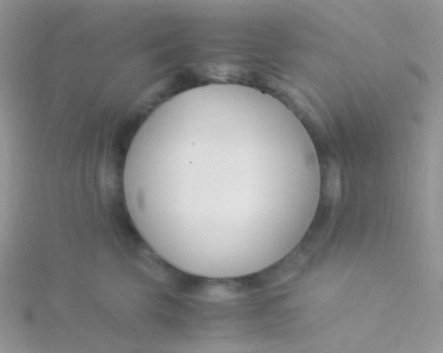 X0000115300569200911231311