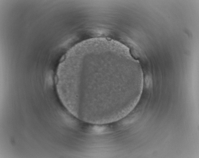 X0000115300570200911231311