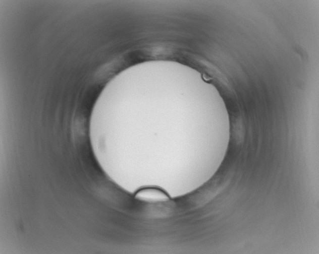 X0000115300571200911231311