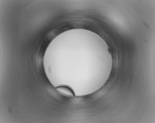 X0000115300574200911231311