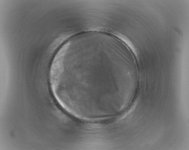 X0000115300577200911231311