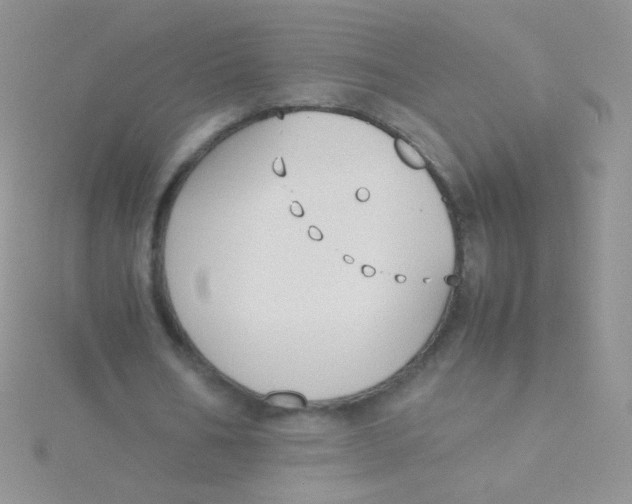 X0000115300578200911231311