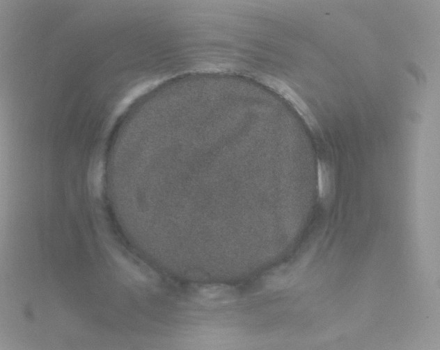 X0000115300579200911231311