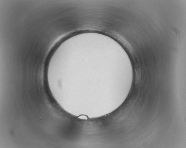 X0000115300580200911231311