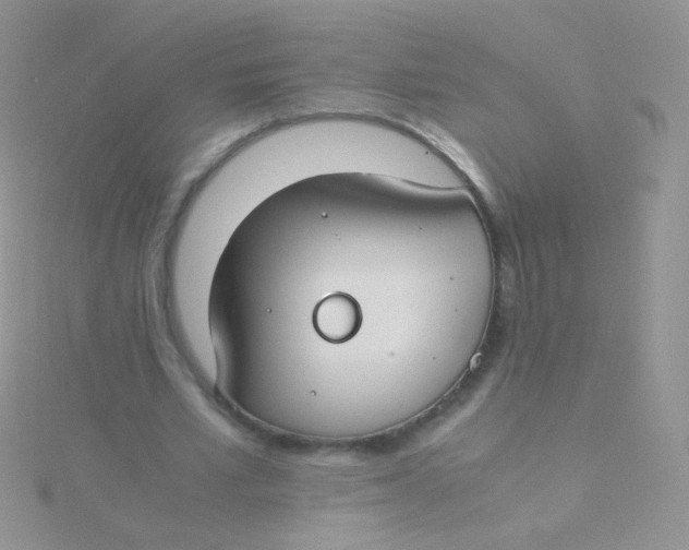 X0000115300581200911231311