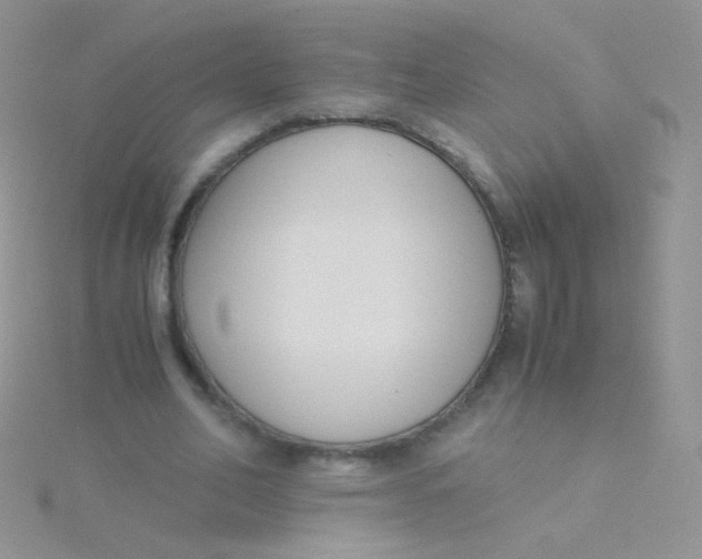 X0000115300582200911231311