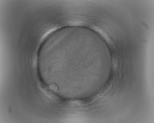 X0000115300583200911231311