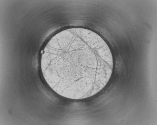 X0000115300584200911231311