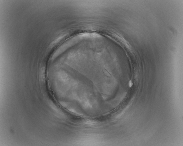 X0000115300585200911231311