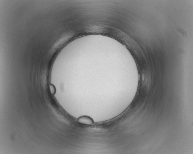 X0000115300586200911231311