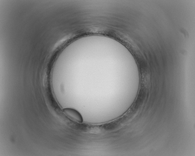 X0000115300587200911231311