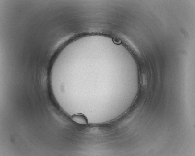 X0000115300588200911231311