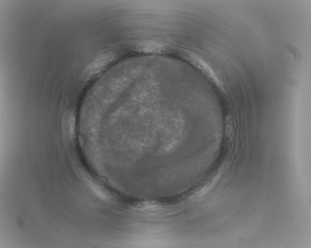 X0000115300589200911231311