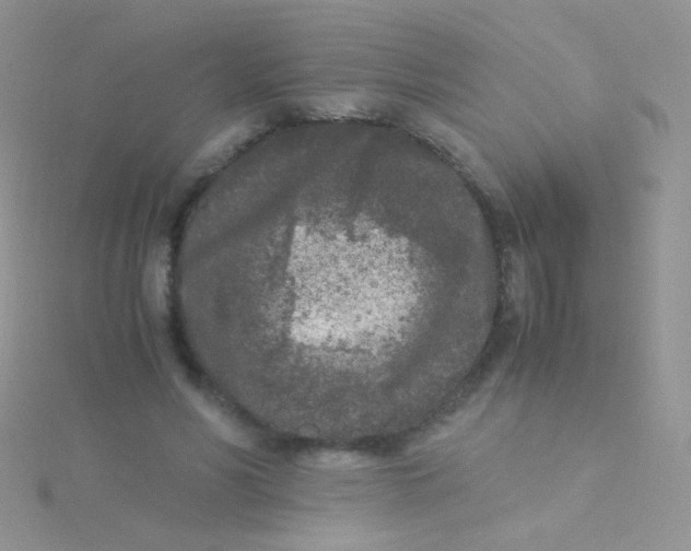 X0000115300590200911231311