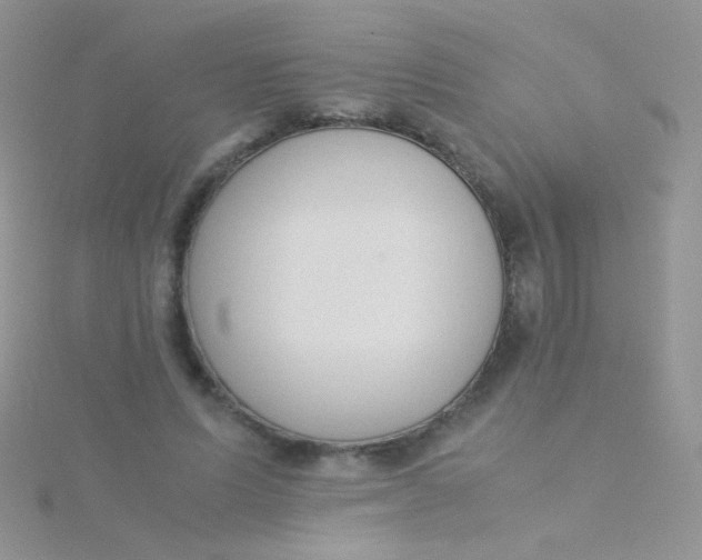 X0000115300591200911231311