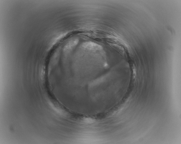 X0000115300592200911231311