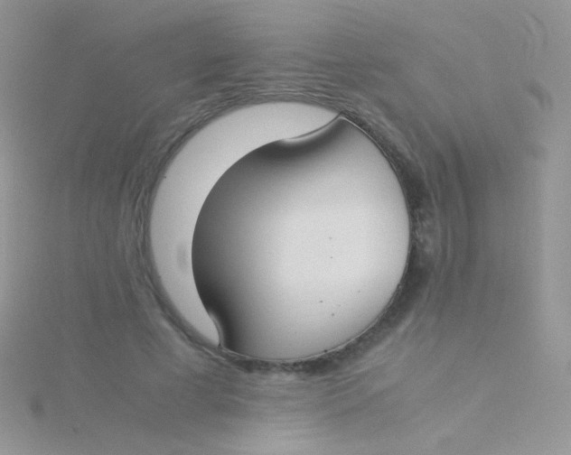 X0000115300593200911231311