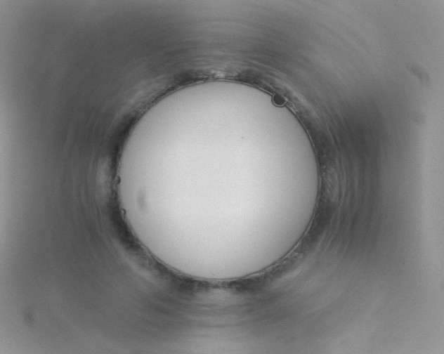 X0000115300594200911231310