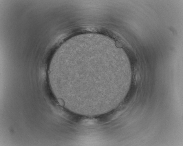 X0000115300595200911231310