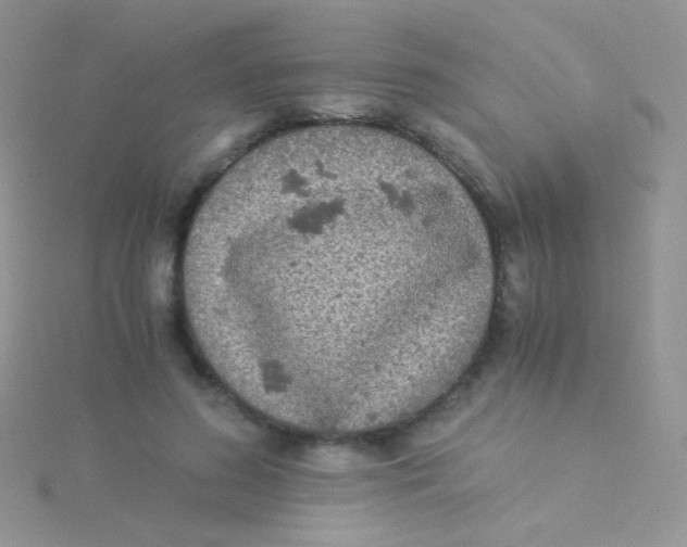 X0000115300596200911231310