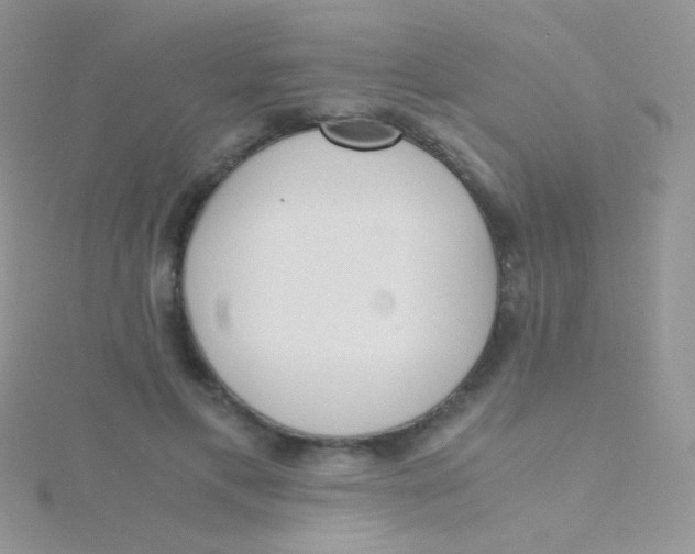 X0000115300597200911231310