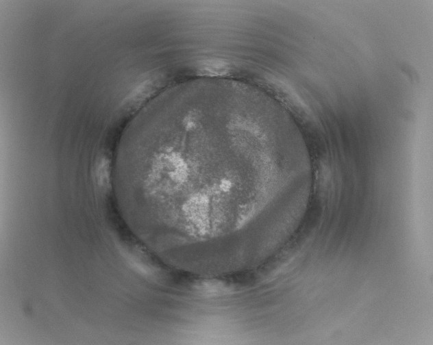 X0000115300598200911231310