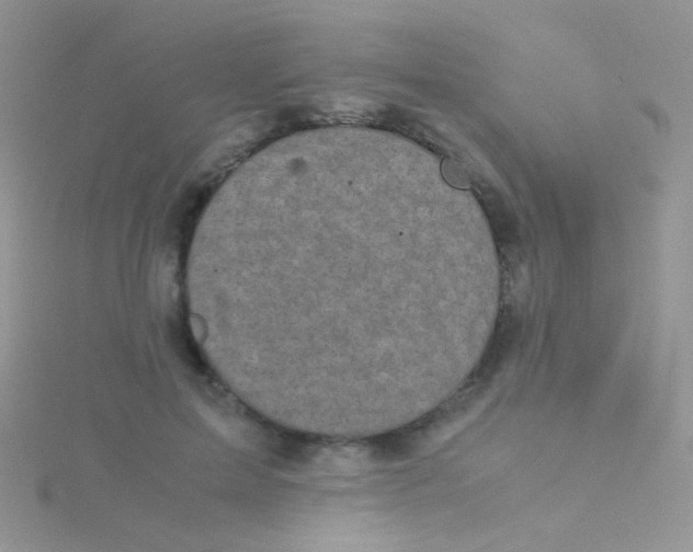 X0000115300599200911231310