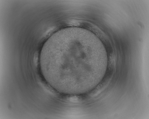 X0000115300600200911231310