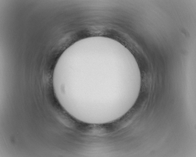 X0000115300601200911231310