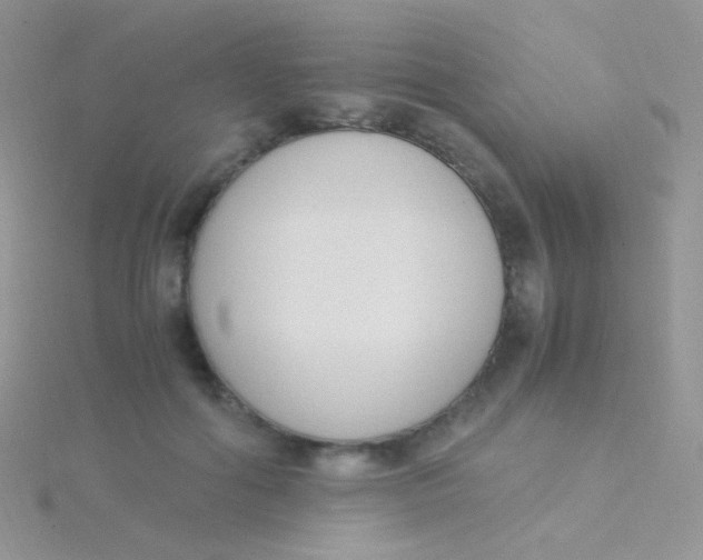 X0000115300602200911231310