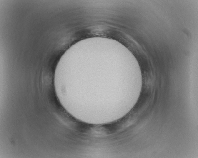 X0000115300603200911231310