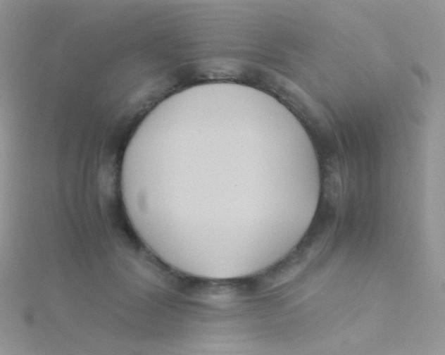 X0000115300604200911231310