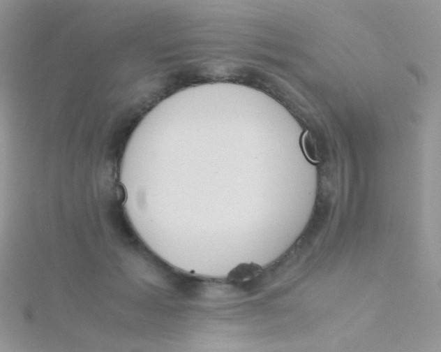 X0000115300605200911231310