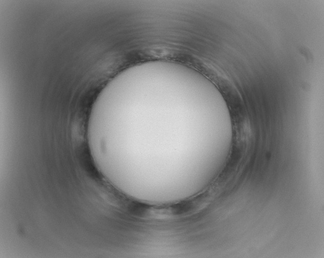 X0000115300606200911231310