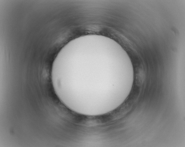 X0000115300608200911231310