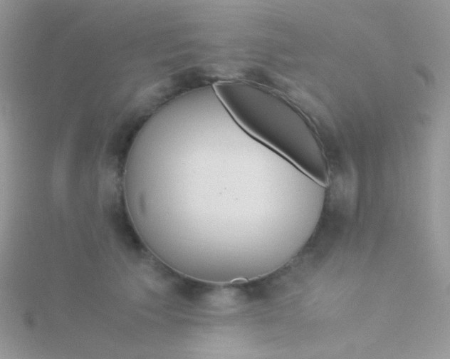 X0000115300609200911231310