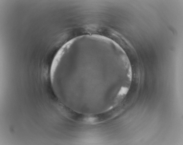 X0000115300610200911231310