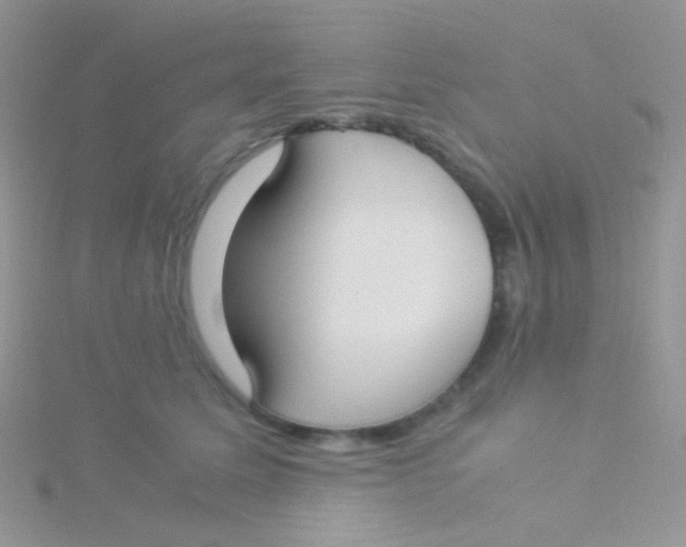 X0000115300611200911231310