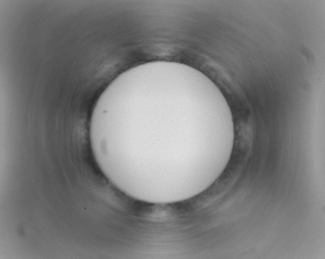 X0000115300612200911231310