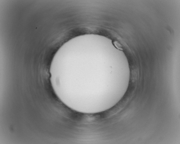 X0000115300613200911231310