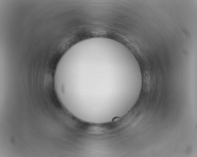 X0000115300614200911231310