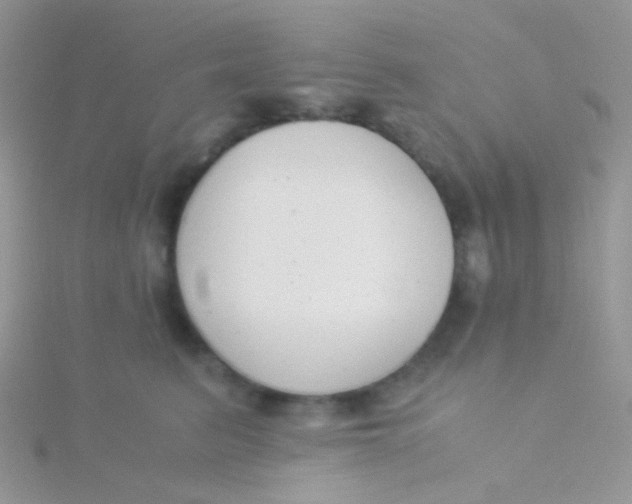 X0000115300615200911231310