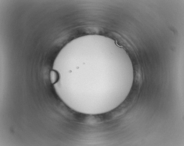 X0000115300616200911231310