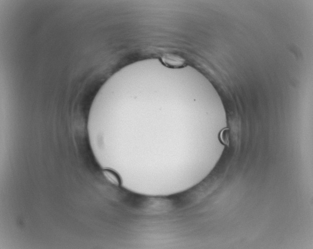 X0000115300617200911231310